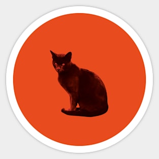 orange cat Sticker